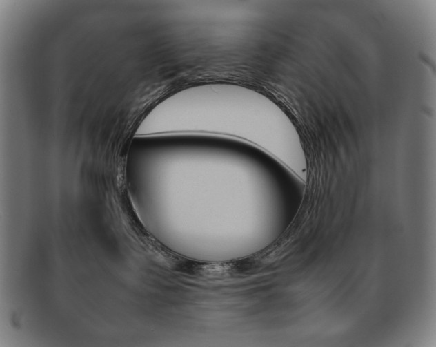 X0000092100335200709121114