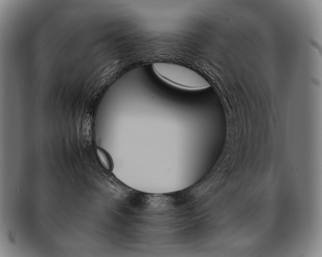 X0000092100336200709121114