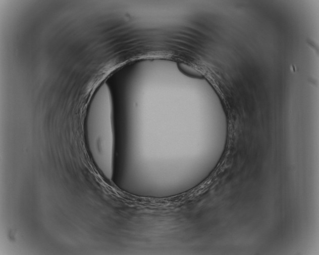 X0000092100337200709121114
