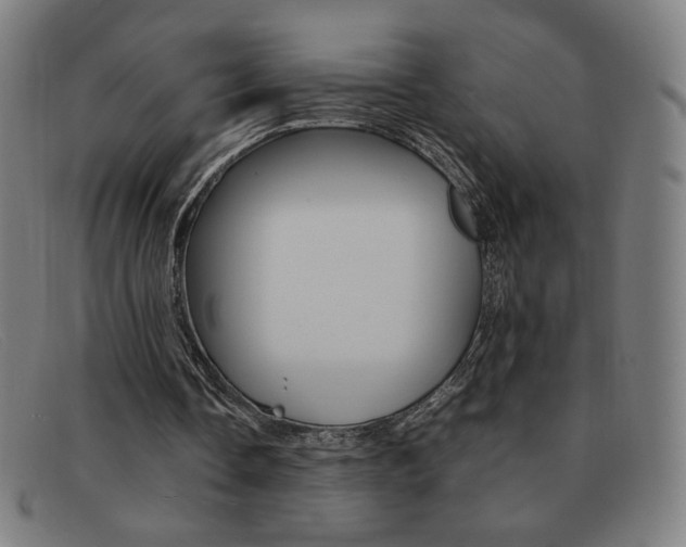 X0000092100338200709121114