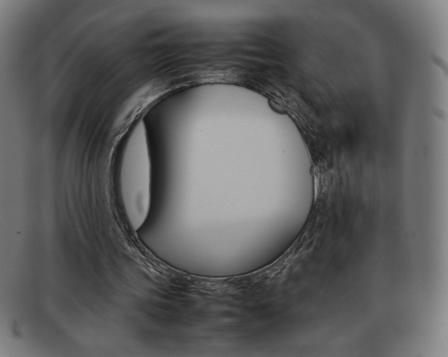 X0000092100339200709121114