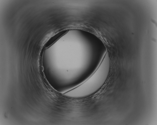 X0000092100340200709121114