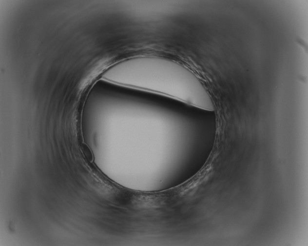 X0000092100341200709121114
