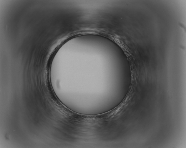 X0000092100342200709121114
