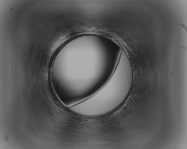 X0000092100344200709121114