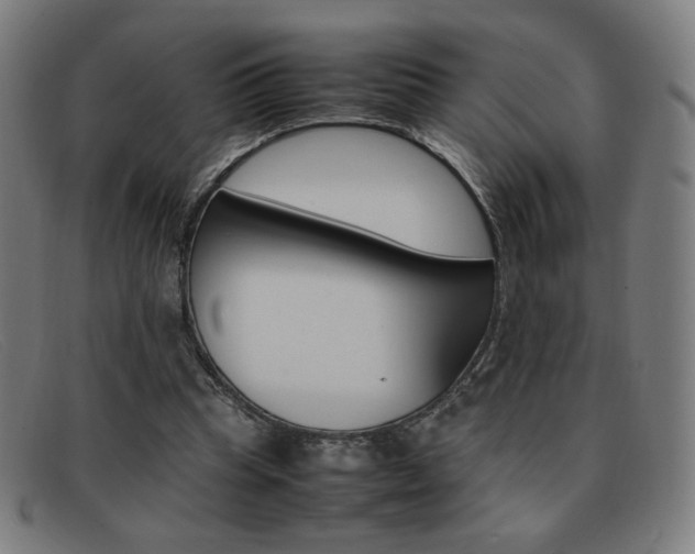 X0000092100345200709121114