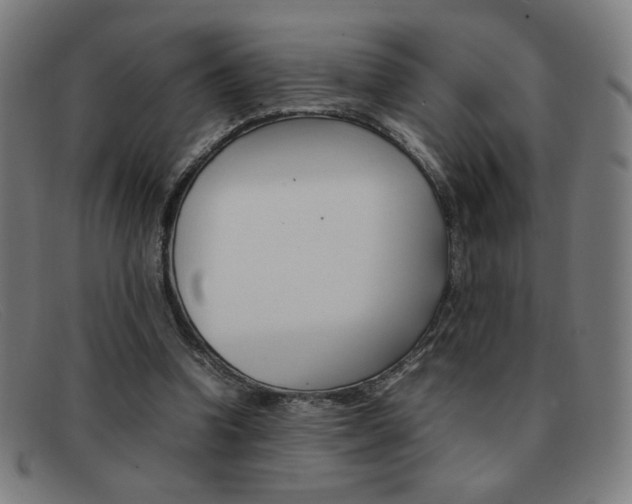 X0000092100346200709121114