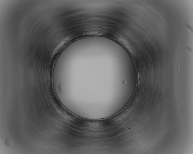 X0000092100349200709121114