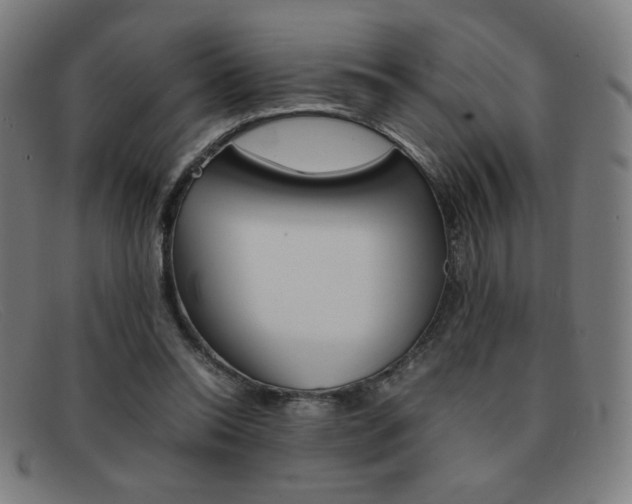 X0000092100350200709121114