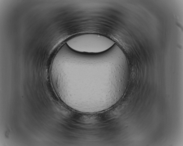 X0000092100351200709121114
