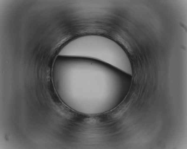 X0000092100356200709121114
