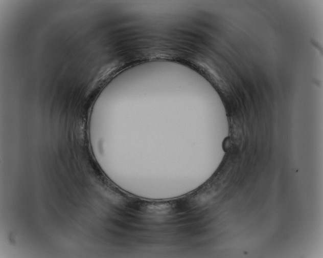 X0000092100357200709121114