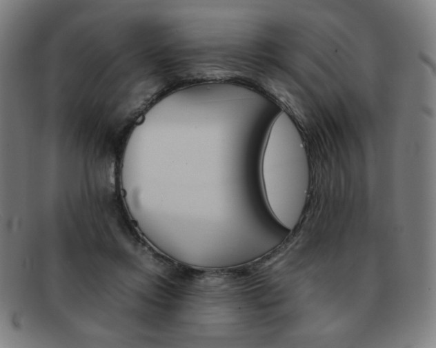 X0000092100358200709121114