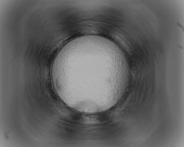 X0000092100359200709121114