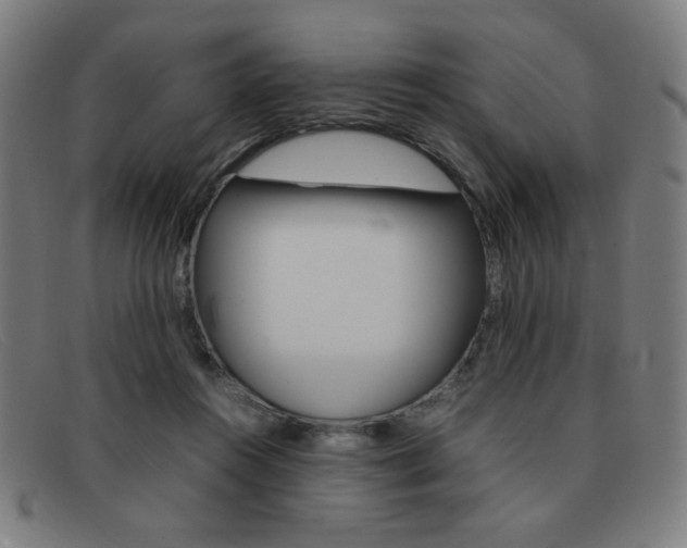 X0000092100360200709121114