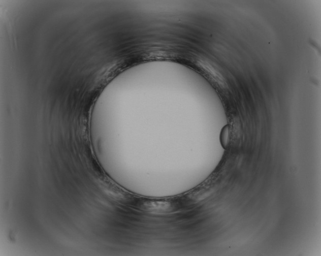 X0000092100361200709121114