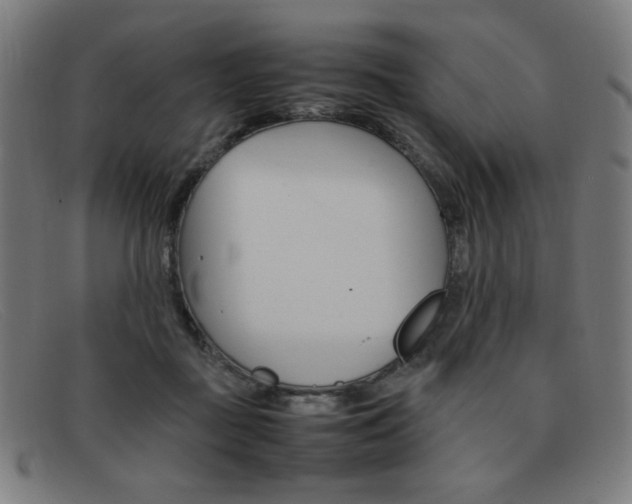 X0000092100363200709121114