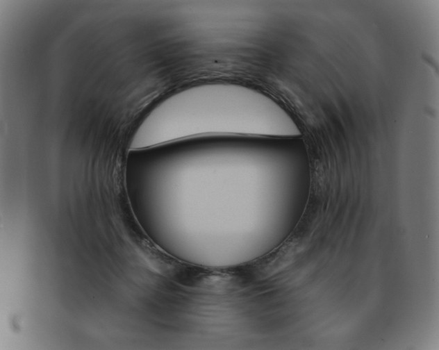 X0000092100364200709121114
