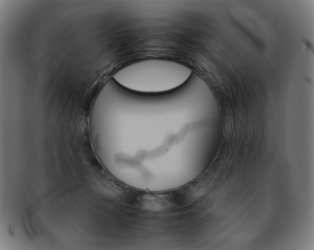 X0000092100367200709121114