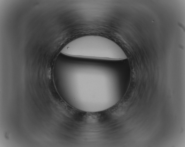 X0000092100368200709121114