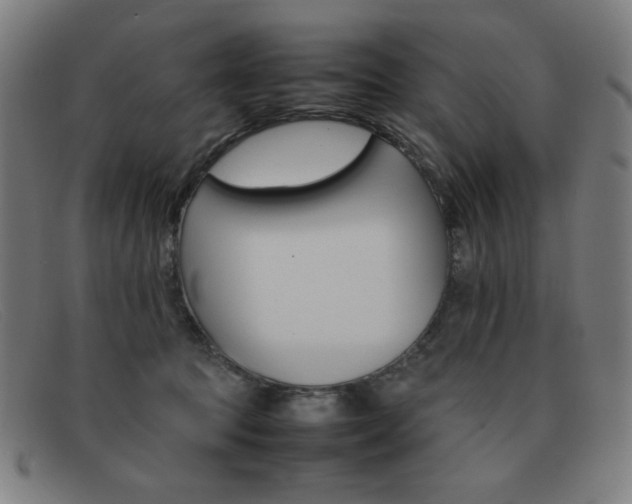 X0000092100369200709121114