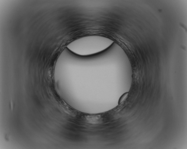 X0000092100373200709121114