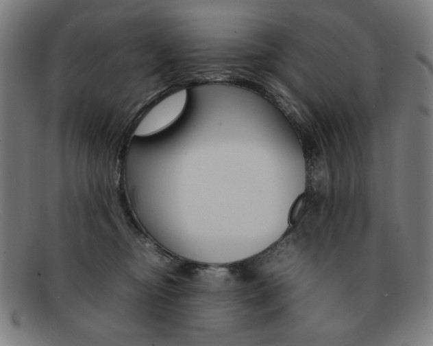 X0000092100374200709121114