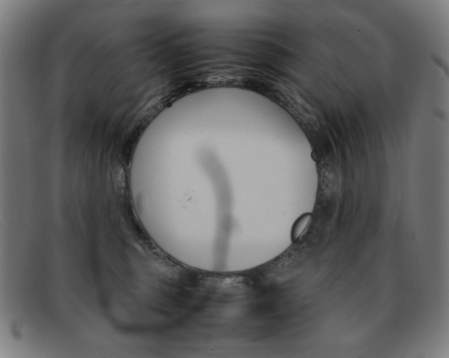 X0000092100375200709121114