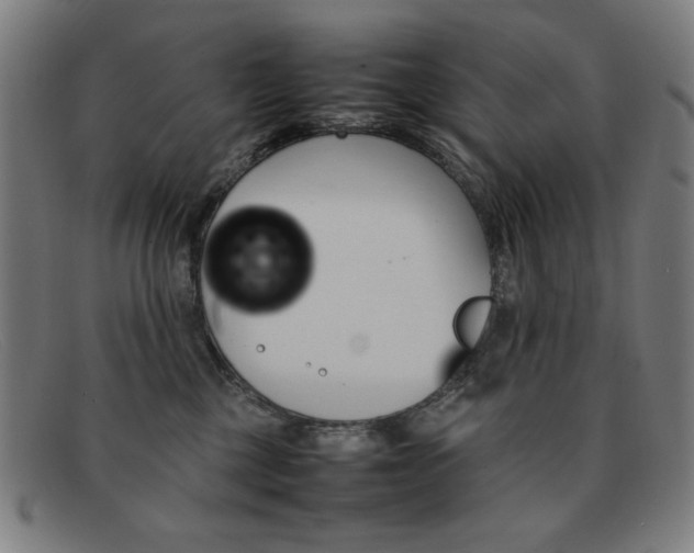 X0000092100377200709121114