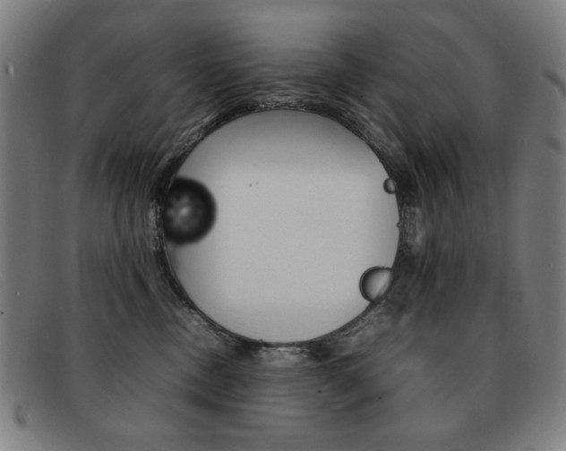 X0000092100378200709121114