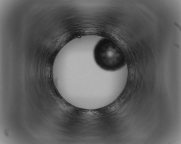 X0000092100379200709121114