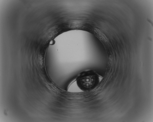 X0000092100380200709121114