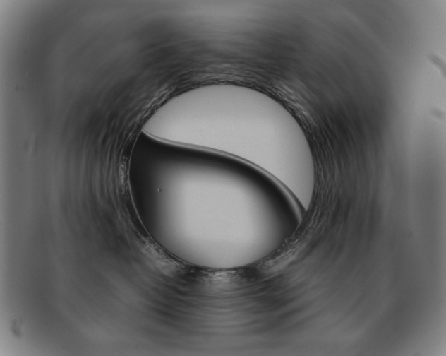 X0000092100382200709121114