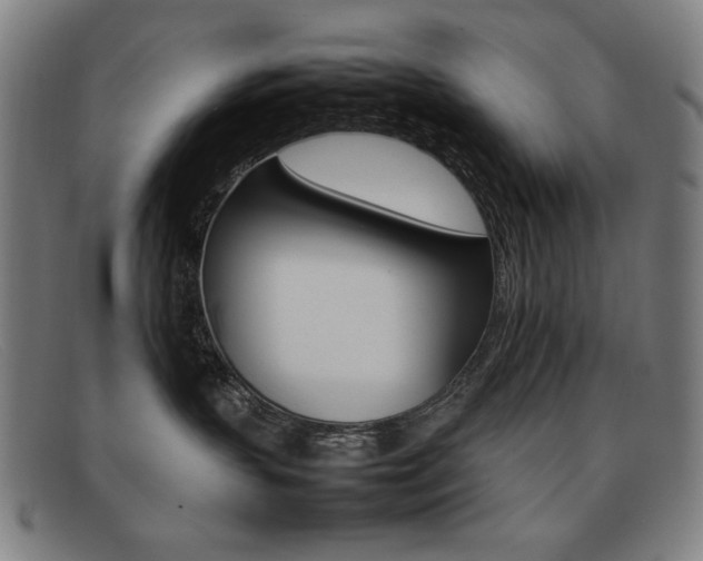 X0000092100383200709121114