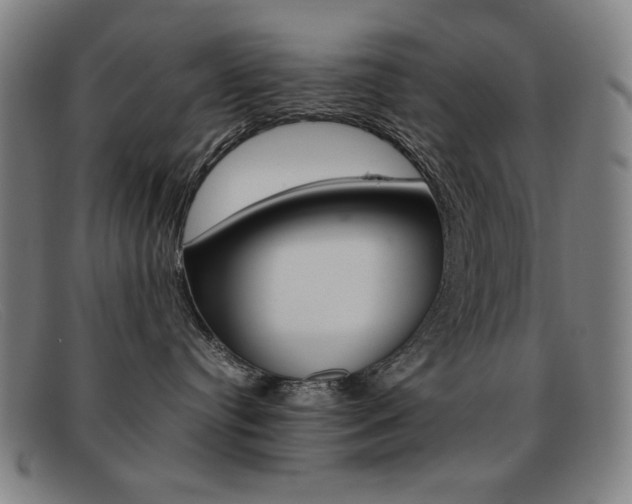 X0000092100384200709121114