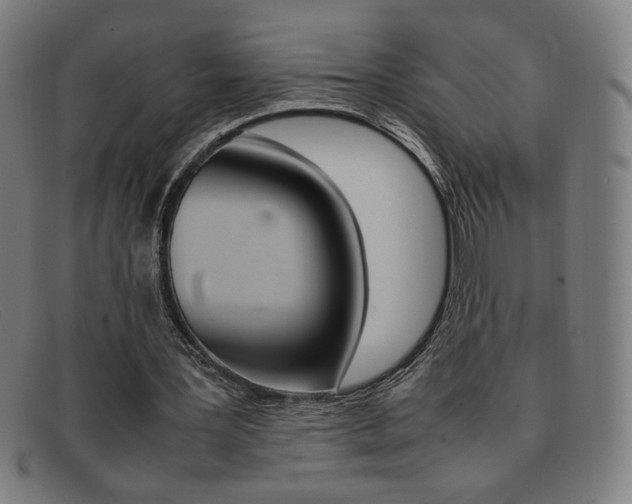 X0000092100387200709121114