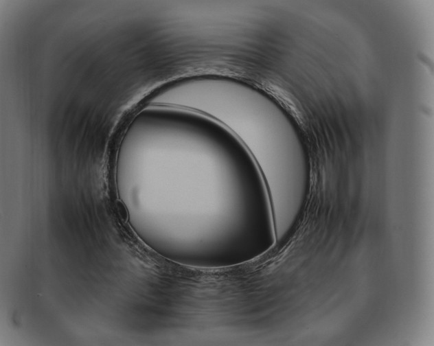 X0000092100388200709121114