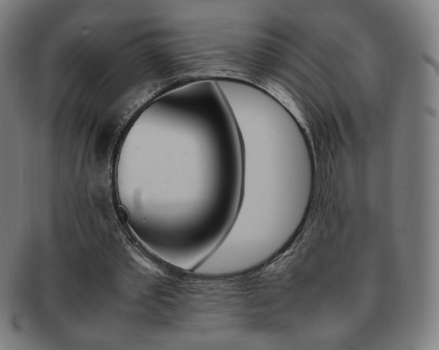 X0000092100389200709121114