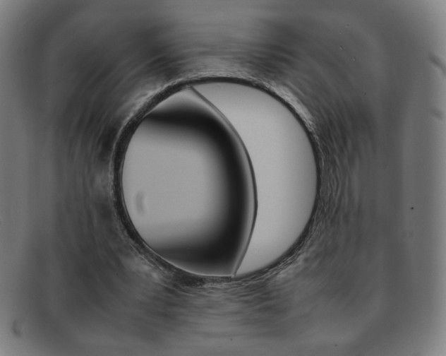 X0000092100391200709121114