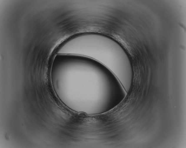 X0000092100392200709121114