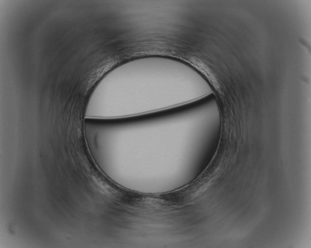X0000092100393200709121114