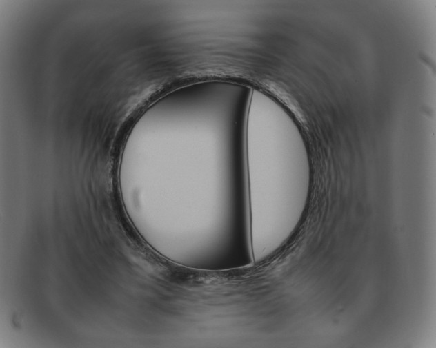 X0000092100395200709121114