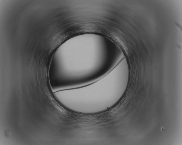 X0000092100397200709121114