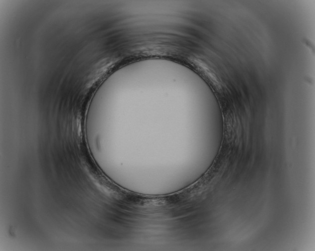 X0000092100398200709121114