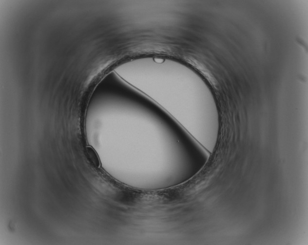 X0000092100399200709121114