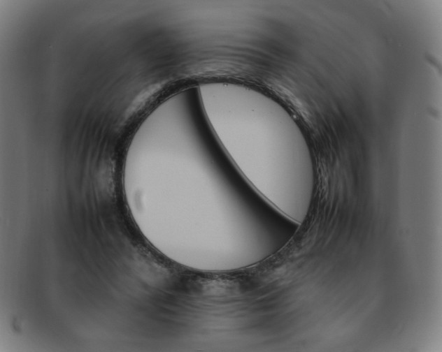 X0000092100400200709121114