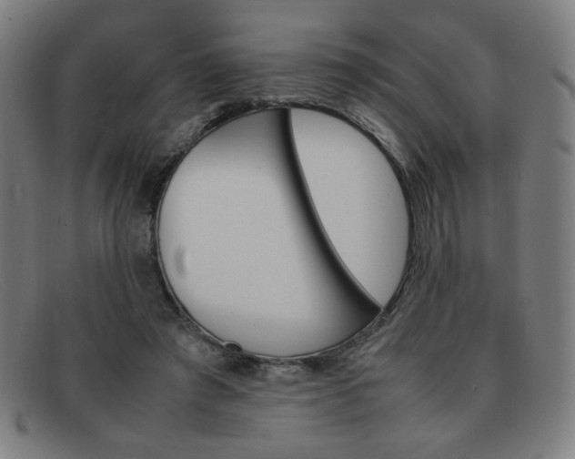 X0000092100401200709121114