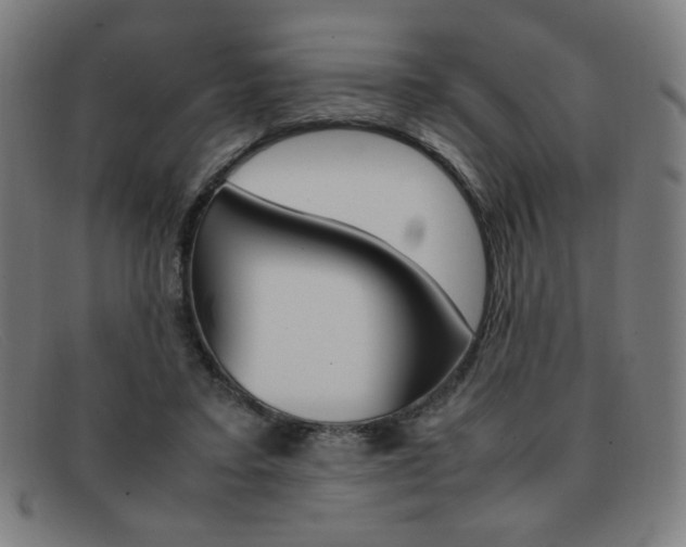 X0000092100403200709121114