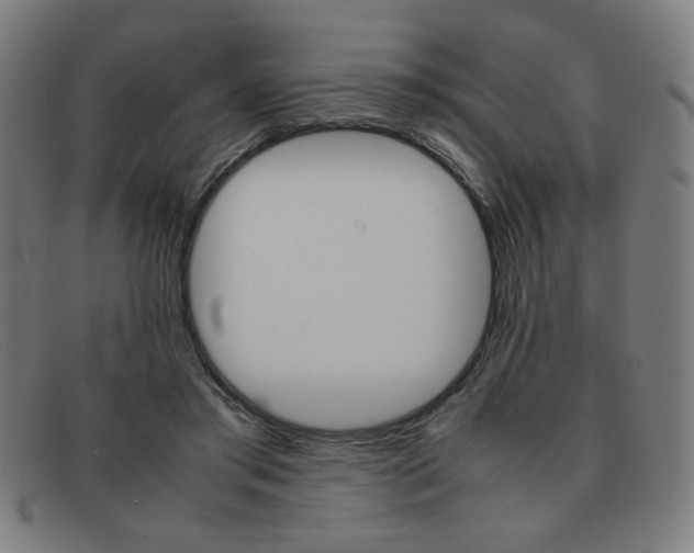 X0000092100405200709121114