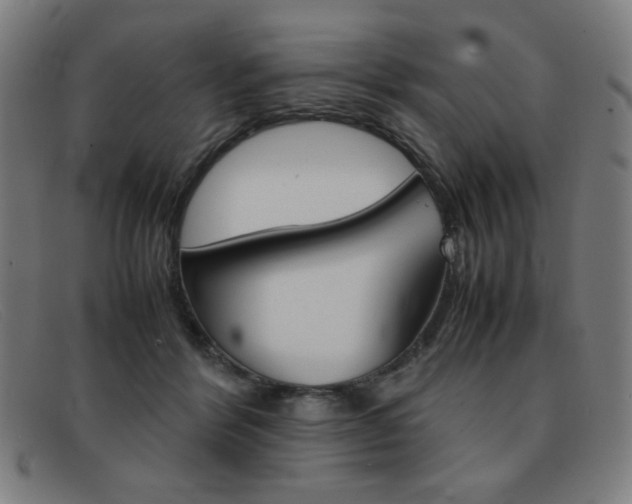 X0000092100412200709121113
